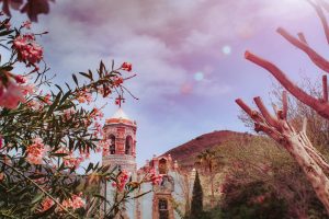 Iglesia en el desierto mexicano con flores