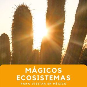 Pueblos magicos por ecosistema